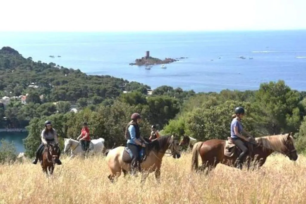 Dans Un Cadre D'Exception, Vue Mer Panoramique A Agay Cote D'Azur, Village Vacances Cap Esterel, T2 Avec Jardin, Golf, Climatisation, Wifi, 5 Piscines Saint-Raphaël 0*,  فرنسا